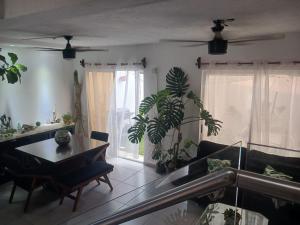 Casa Monstera te espera