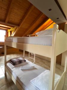 Symphony Hostel Shkoder