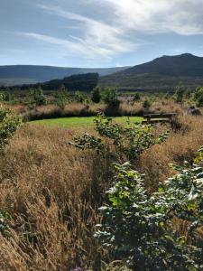 OAKWOOD GLAMPING Mourne Mountains