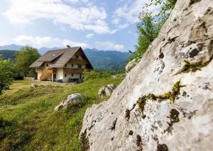 Apartmaji pr` Brdarju