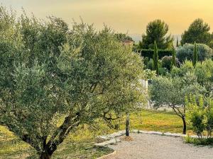 Maisons de vacances Le chai Saint Joseph : photos des chambres