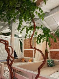 Olympos Talara by Arzum