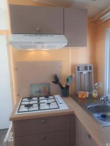 Camping Domaine des iscles