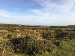 Bechan Brook Hut