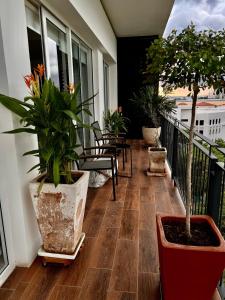 Chic 1BR 1BA Zoho Skies condo with rooftop pool stunning views