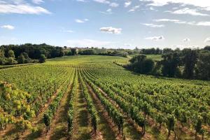 Villas Chateau au coeur des vignes proche de St Emilion : photos des chambres