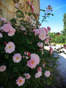 Villas Chateau au coeur des vignes proche de St Emilion : photos des chambres
