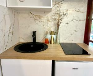 Appartements Tres joli studio 100m plage : photos des chambres