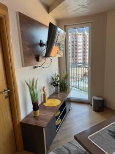 Black Bear Apartment