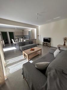 Konitsa Escape Apartment