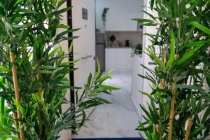 Scugnizzo Apartment SMART