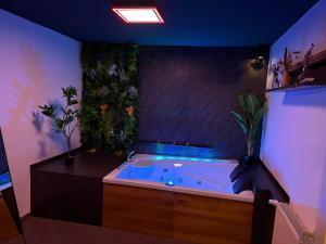 Wellnesshaus - Whirlpool, Sauna, Küche, 24-7