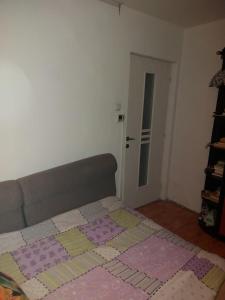 Cosy and Nice Apartment Mures