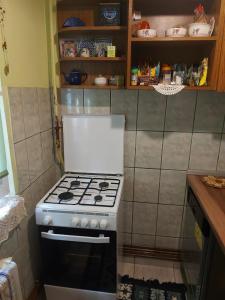 Cosy and Nice Apartment Mures