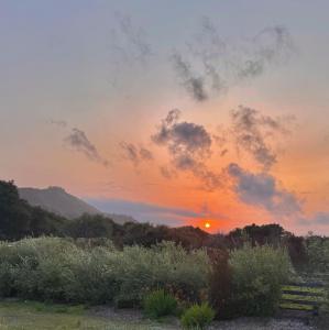 Almost Eden Guesthouse