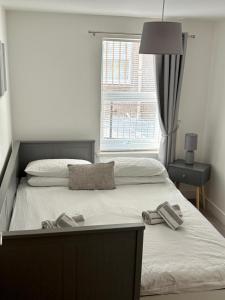 Modern 2 bedroom Flat in Montrose