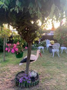 Lawendowa Przystań WICKO 3 km od Międzyzdrojów