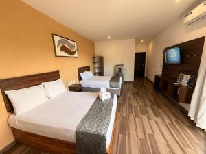 Lofts Terra Nuevo Vallarta