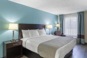 King Room - Non-Smoking room in SureStay Plus Hotel by Best Western Asheboro