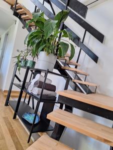 Hiška na skalci, The House on the Rock