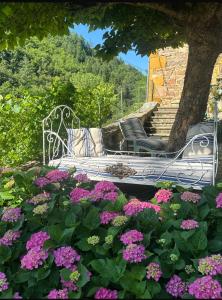 Villas Maison de famille en Beaujolais vert : photos des chambres