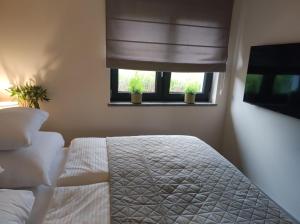 Domki Karkonosze Pod Dębem