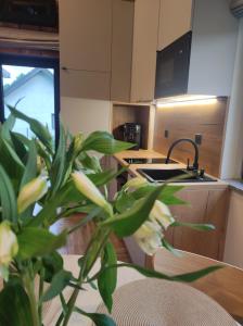 Domki Karkonosze Pod Dębem