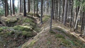 Pientalo tukikohtana lähellä Joensuuta