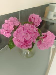 Duplex dans belle propriété avec piscine