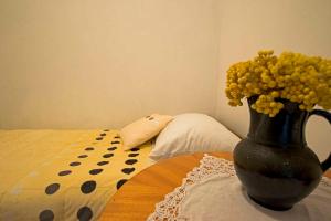 Apartment Seline - Paklenica Riviera 6847