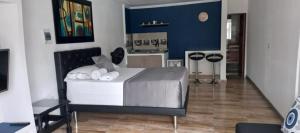 Hermoso aparta estudio