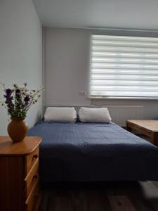 Cozy City Centre Studio Apartment