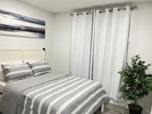 1-BR Suite with Private entrance near Restaurants, Shops, Local Amenities