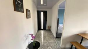 Apartaestudio Central en Armenia