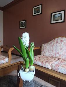 Your best rest in the heights