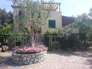 Vasiliki Studios