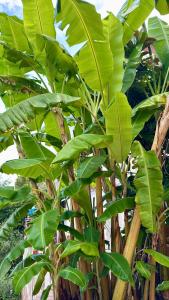 Casa con vistas al mar y piscina privada