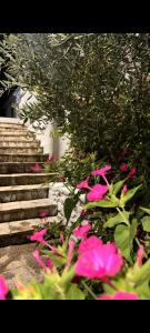 Perfect holiday accommodation