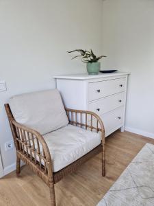 Cosy apartment in the center of Rusne