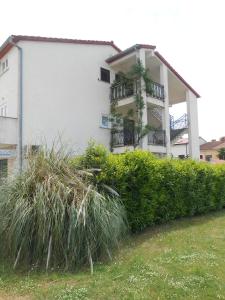 Apartment Petric