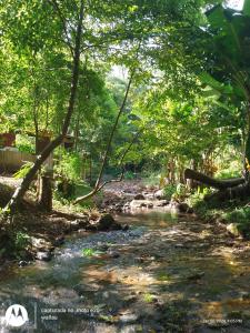 Cabanas altos da glória