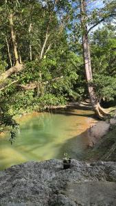 Paraíso Escondido Cabañas, Reserva Rio Claro, San Luis-Doradal