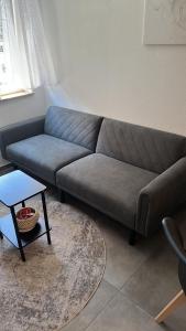 DG Apartment mit Neckarblick