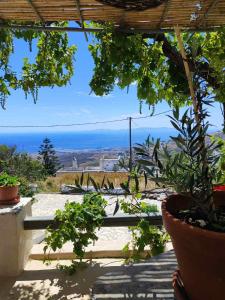 Vgenas house 2 the little house