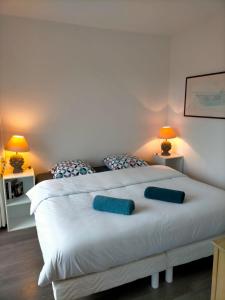 Appartements Arsene 3 l-Hermitage : photos des chambres