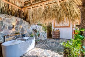 The Bird Nest at Casa Paloma