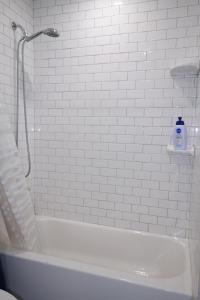 Casa Mid City - Centrally Located 1BR Getaway with Private Yard