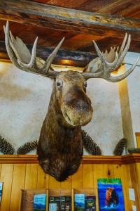 Helmcken Falls Lodge Cabin Rooms and RV Park