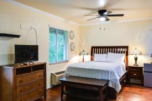 Sail, Swim, Explore Naples Studio Near Everglades