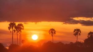 Nyirenda Homestay Kilimanjaro